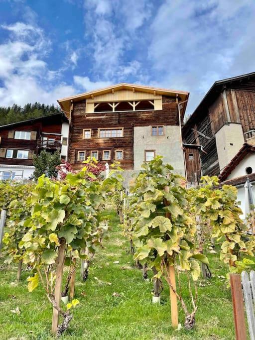 Swiss Chalet Near Flims Trin 外观 照片