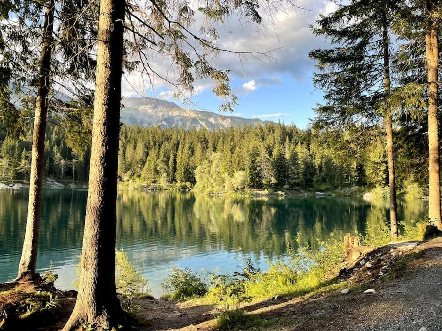 Swiss Chalet Near Flims Trin 外观 照片