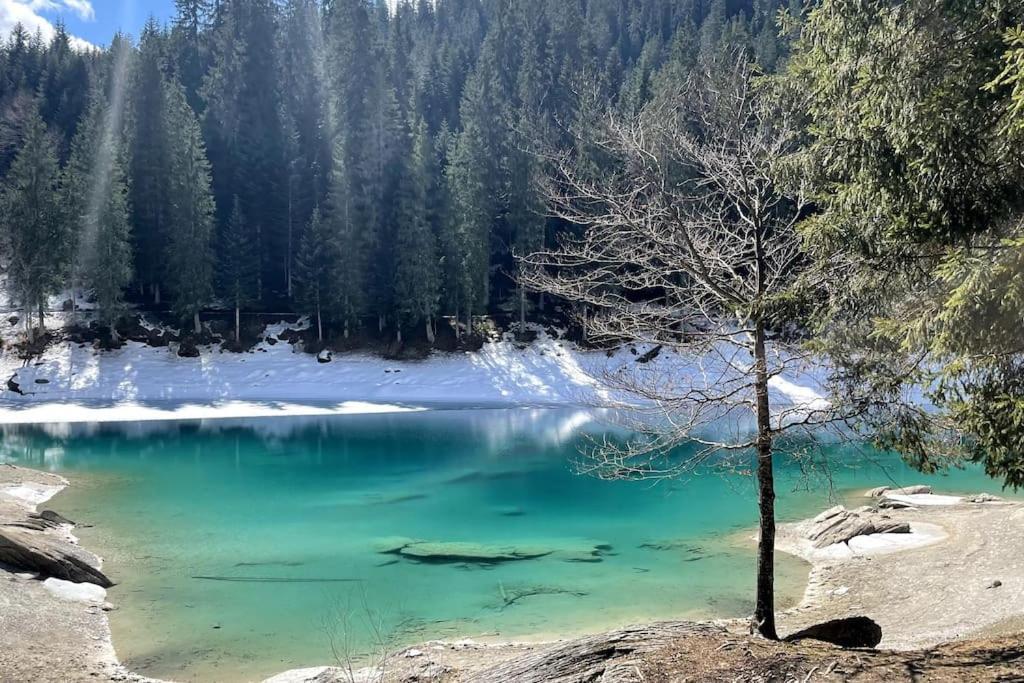 Swiss Chalet Near Flims Trin 外观 照片